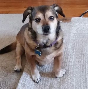 Meet your Posher, Barbara